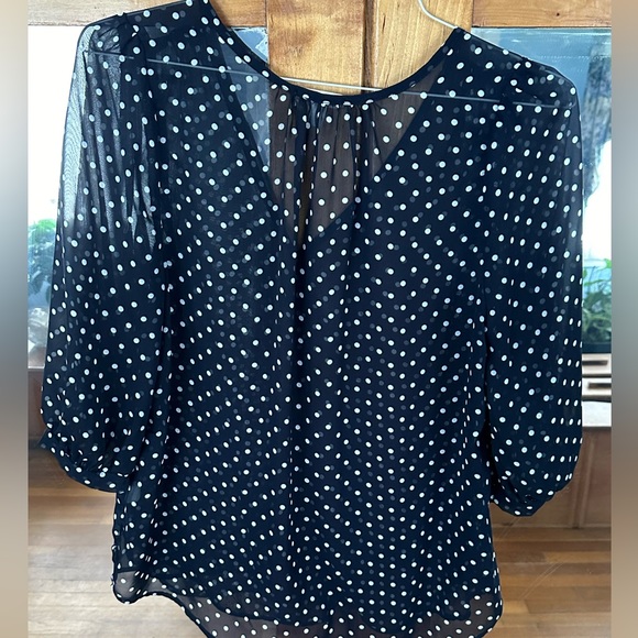Everly navy and white polka dot blouse. Three quarter length sleeves. Medium. - Picture 4 of 4